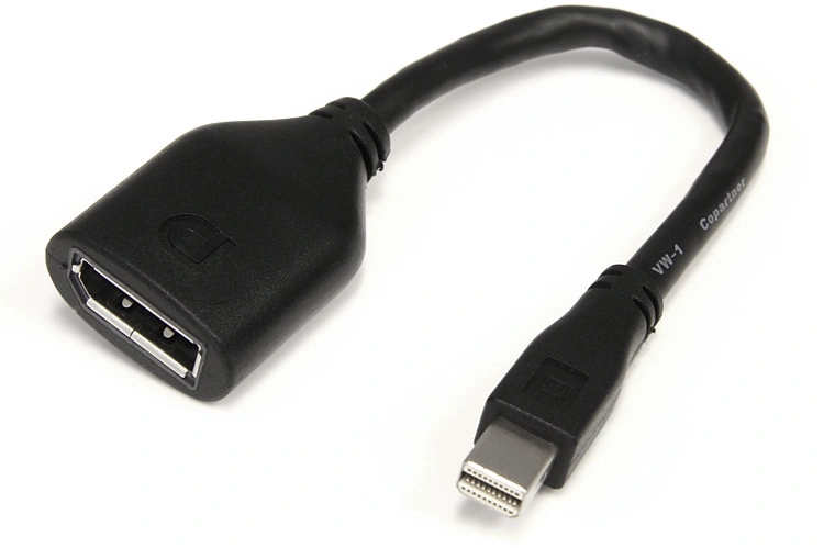 Mini DisplayPort to DisplayPort Adapter