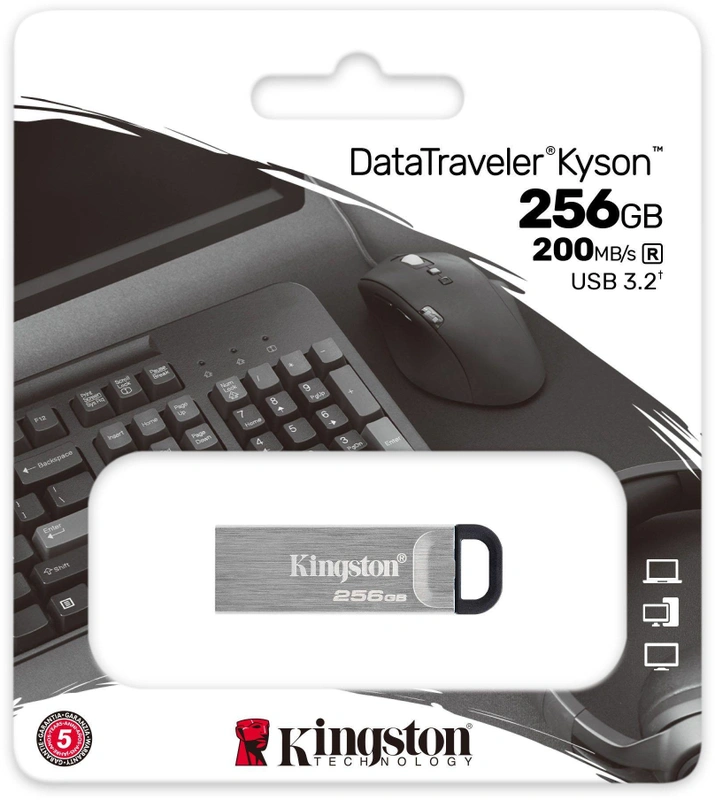 Kingston Technology Kyson 256GB Zilver